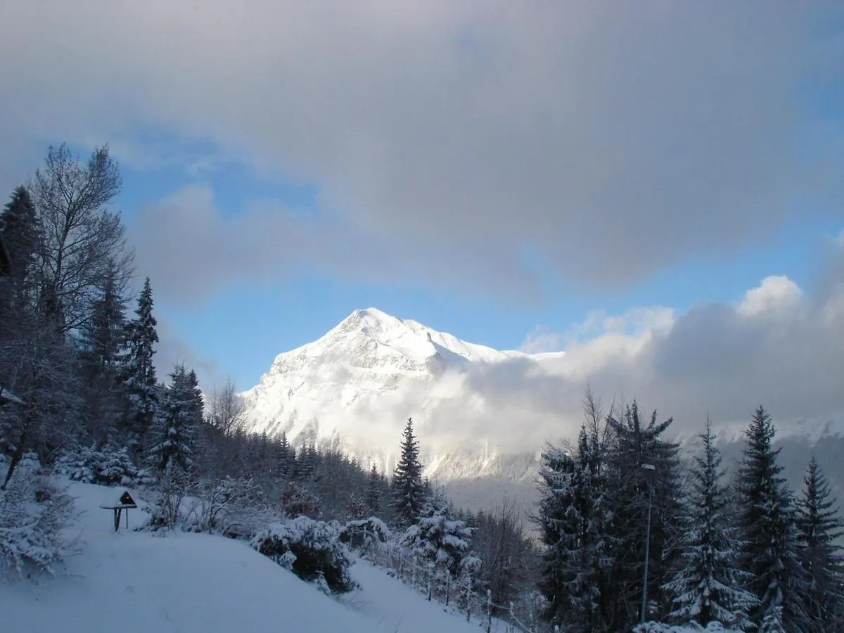 Chalet Araches-La-Frasse, 5 Pieces, 8 Personnes - Fr-1-572-33 Villa Les Carroz d'Araches France